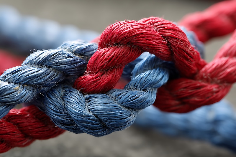 Close-up of two intertwined ropes, one blue and one red, against a blurred background. The texture of the rope fibers is clearly visible, symbolizing connection and resilience—core principles of online safety.